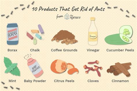 How to get rid of anys. Things To Know About How to get rid of anys. 